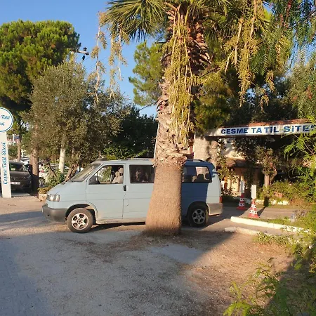 Tatil Koyu Cicek Kokulari, Cam, Palmiye Agaclari Icerisinde *