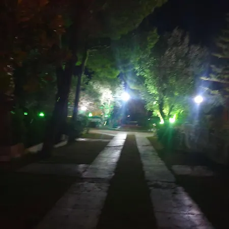 Tatil Koyu Cicek Kokulari, Cam, Palmiye Agaclari Icerisinde *