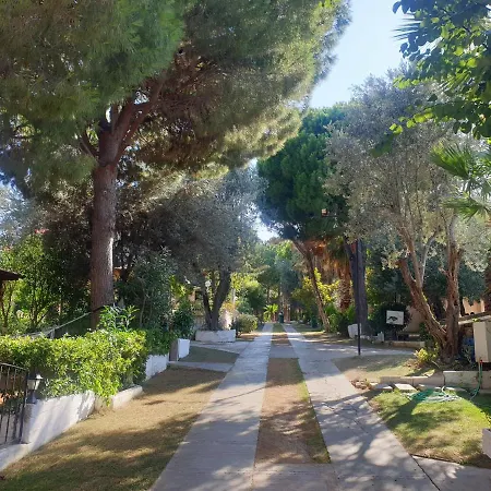 Tatil Koyu Cicek Kokulari, Cam, Palmiye Agaclari Icerisinde Apartment