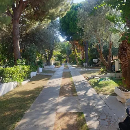 Tatil Koyu Cicek Kokulari, Cam, Palmiye Agaclari Icerisinde *