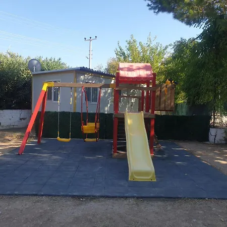 Tatil Koyu Cicek Kokulari, Cam, Palmiye Agaclari Icerisinde *