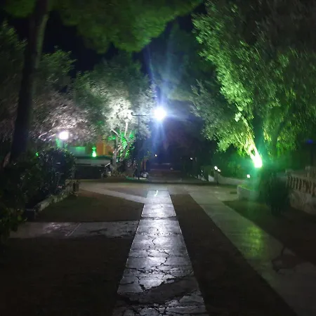 Tatil Koyu Cicek Kokulari, Cam, Palmiye Agaclari Icerisinde