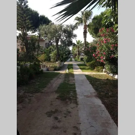 Apartment Tatil Koyu Cicek Kokulari, Cam, Palmiye Agaclari Icerisinde