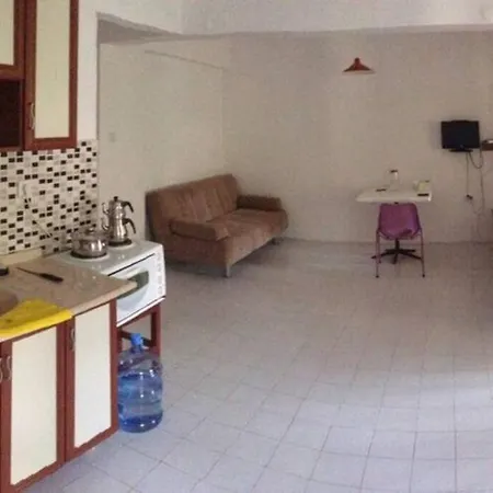 Tatil Koyu Cicek Kokulari, Cam, Palmiye Agaclari Icerisinde