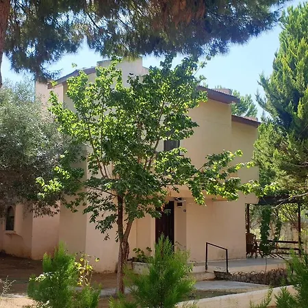شقة Tatil Koyu Cicek Kokulari, Cam, Palmiye Agaclari Icerisinde *
