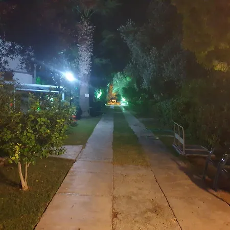 Tatil Koyu Cicek Kokulari, Cam, Palmiye Agaclari Icerisinde Çeşme