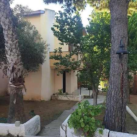 Tatil Koyu Cicek Kokulari, Cam, Palmiye Agaclari Icerisinde