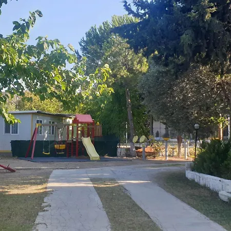Tatil Koyu Cicek Kokulari, Cam, Palmiye Agaclari Icerisinde * Çeşme